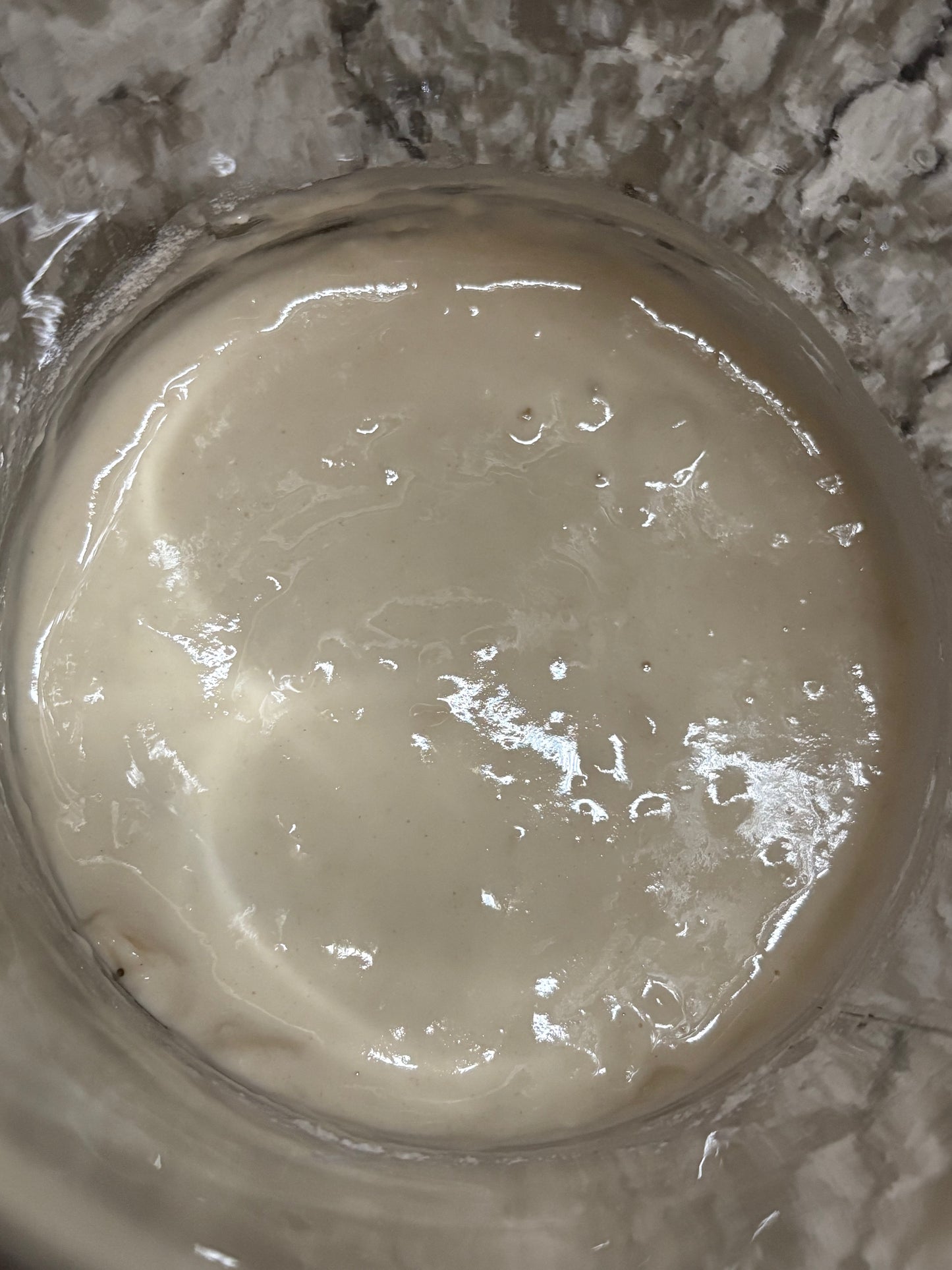 Dehydrated Sourdough Starter