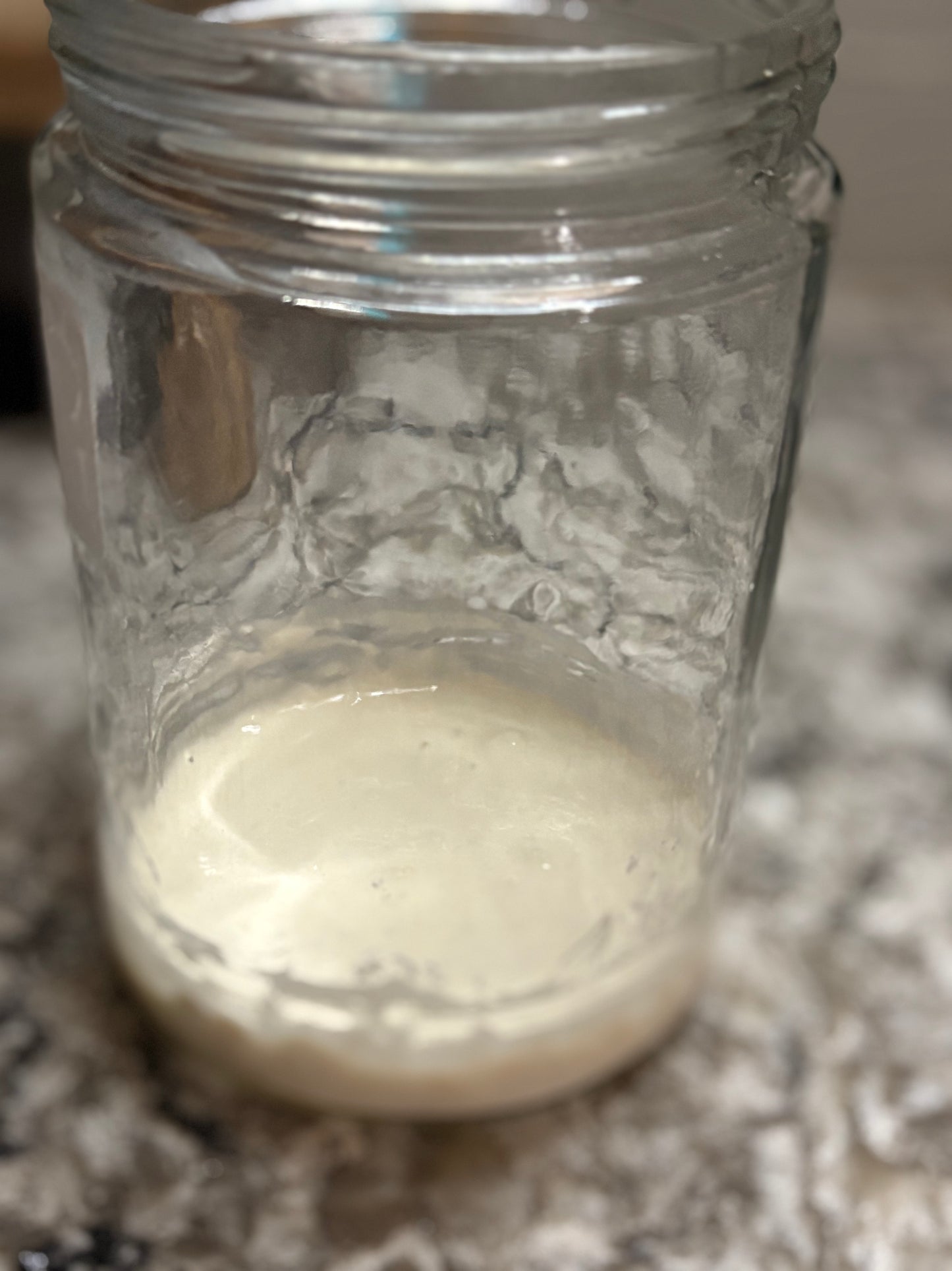 Dehydrated Sourdough Starter
