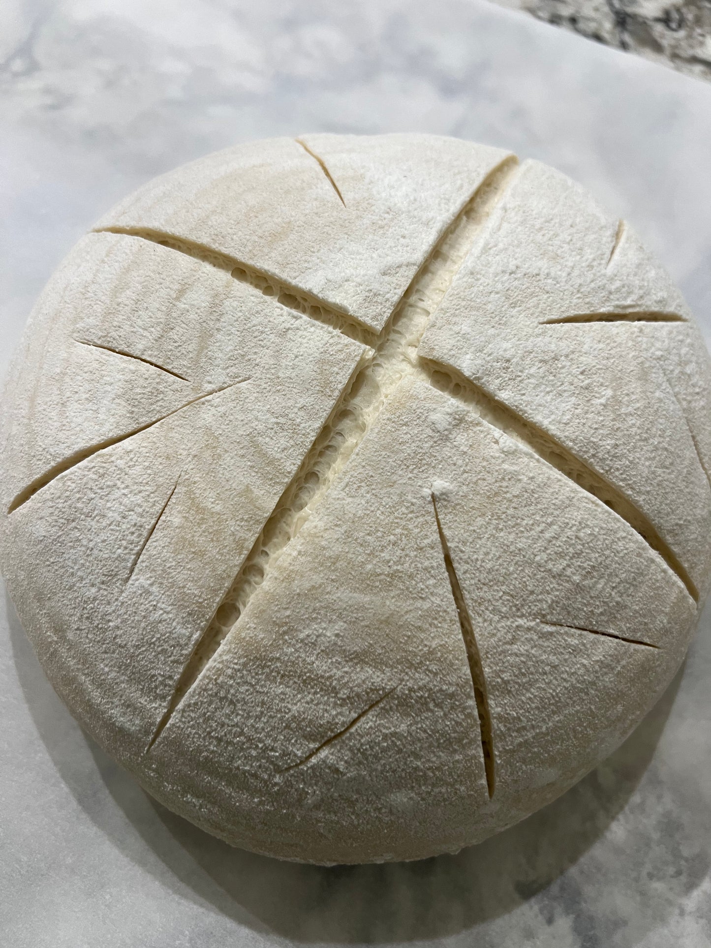 Dehydrated Sourdough Starter