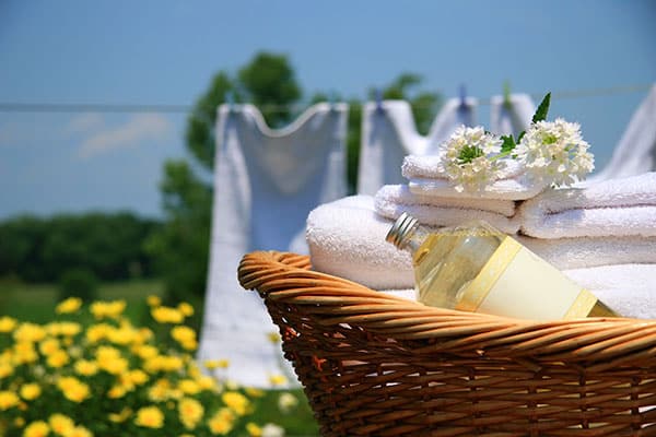 Soy Wax Melts